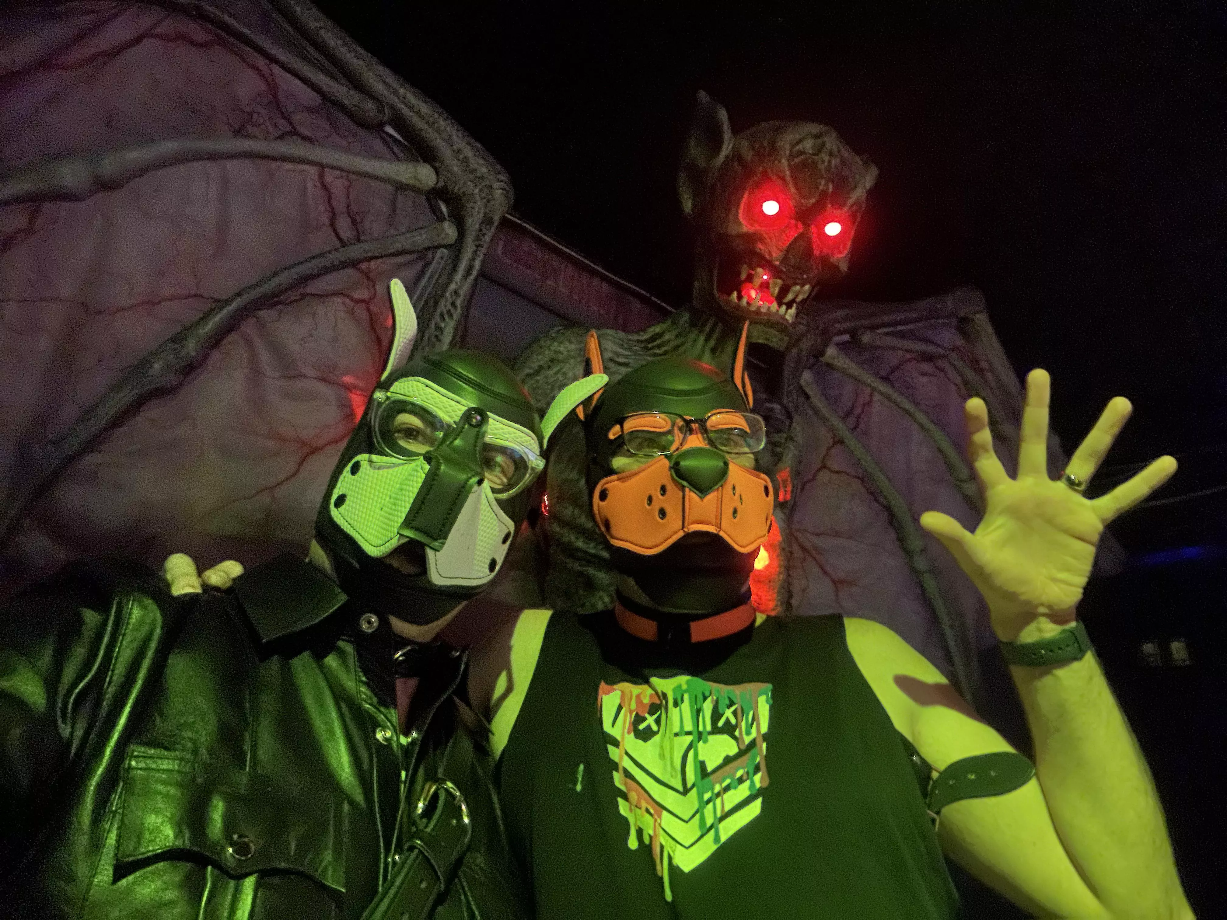 A couple of huspups out and about in Ft Lauderdale. 