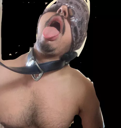 A GOOD SUBMISSIVE MALE LOOKS LIKE THIS !!!!🍑❤️🔥👅