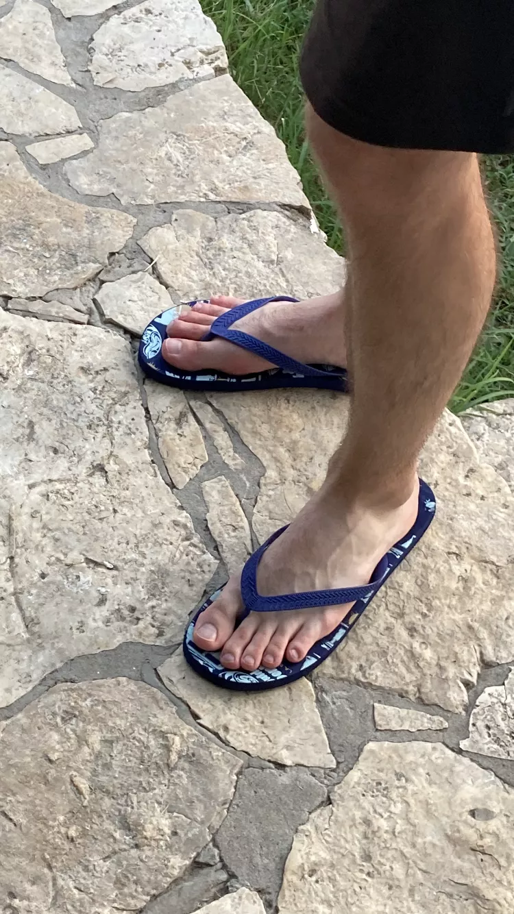 A hot day in the garden 