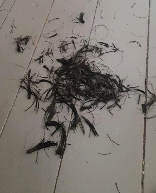 Aftermath of a cut I did a few weeks ago