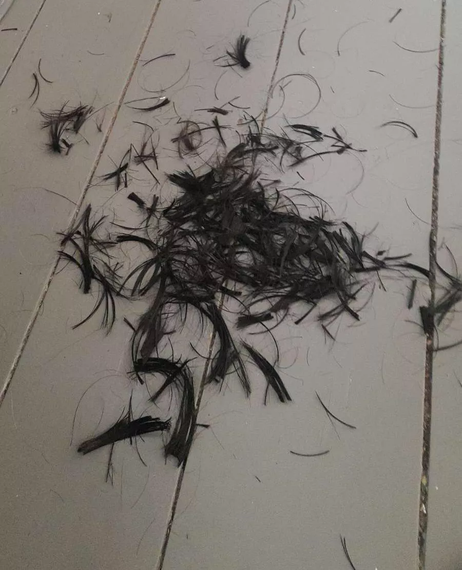 Aftermath of a cut I did a few weeks ago