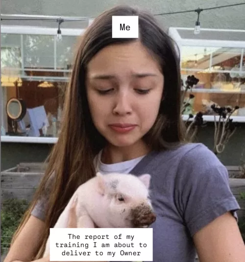 Am I proud? Am I ashamed? Am I amused? Who knows.