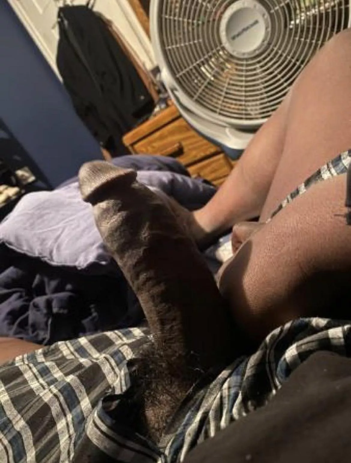 Any bears in the tri-state area ? Fully verse here 