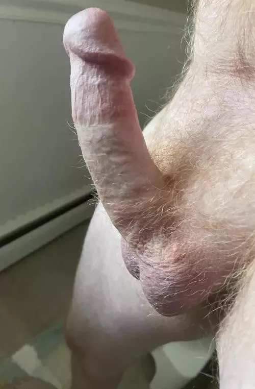 Average 6” ginger cock 