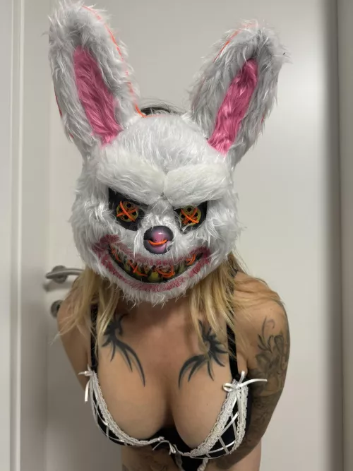 Bad Bunny Maid is here! 