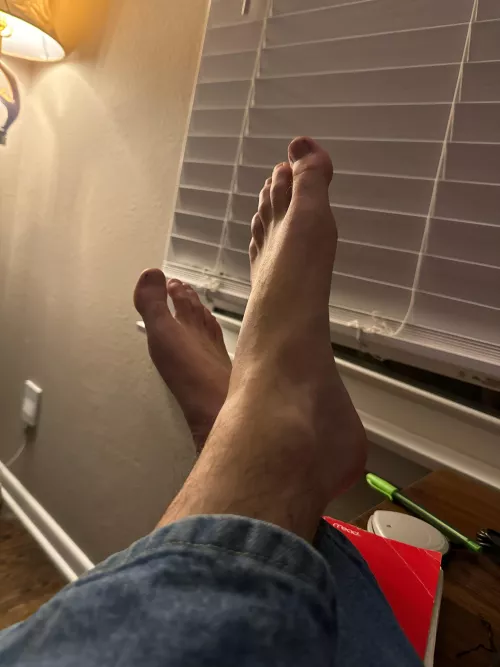 Basking in the lamp light