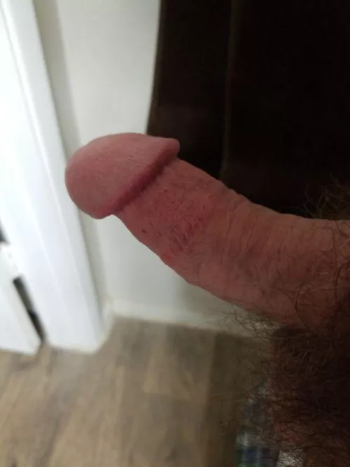 Bi M looking for top or F for a good time. 
