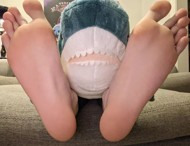 Blahaj has something to say to you :3