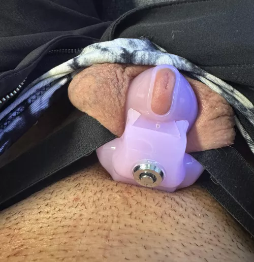 Day 21 am I ready for the flat cage yet?