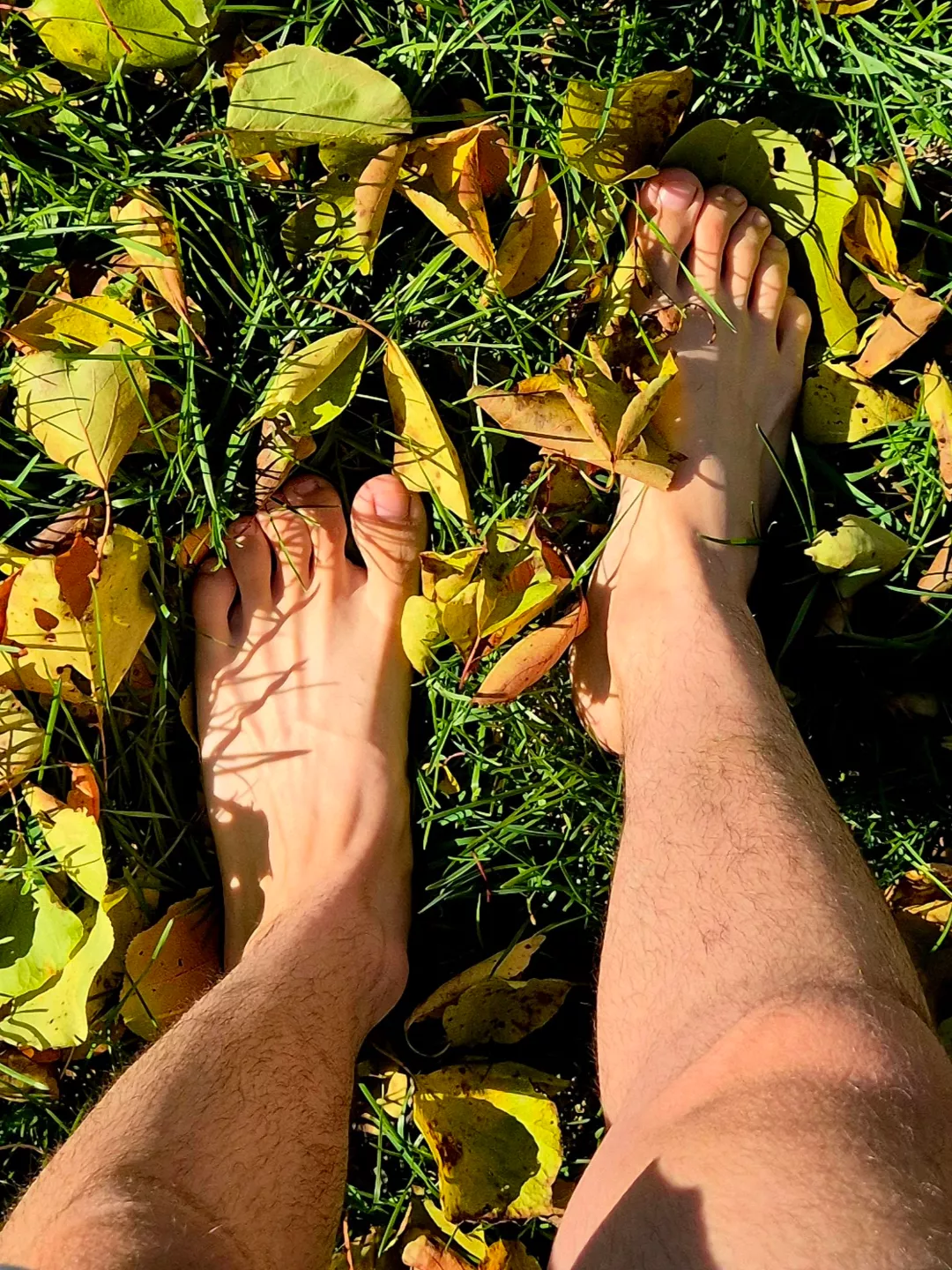 Fall colors under my feet 