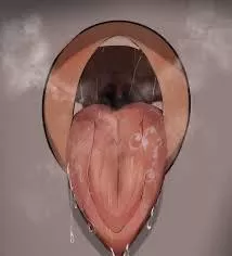 [Fb4Fu] Lost a bet. Now I have to man the Futa gloryhole