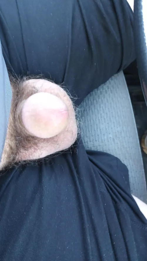 Getting some fresh air 