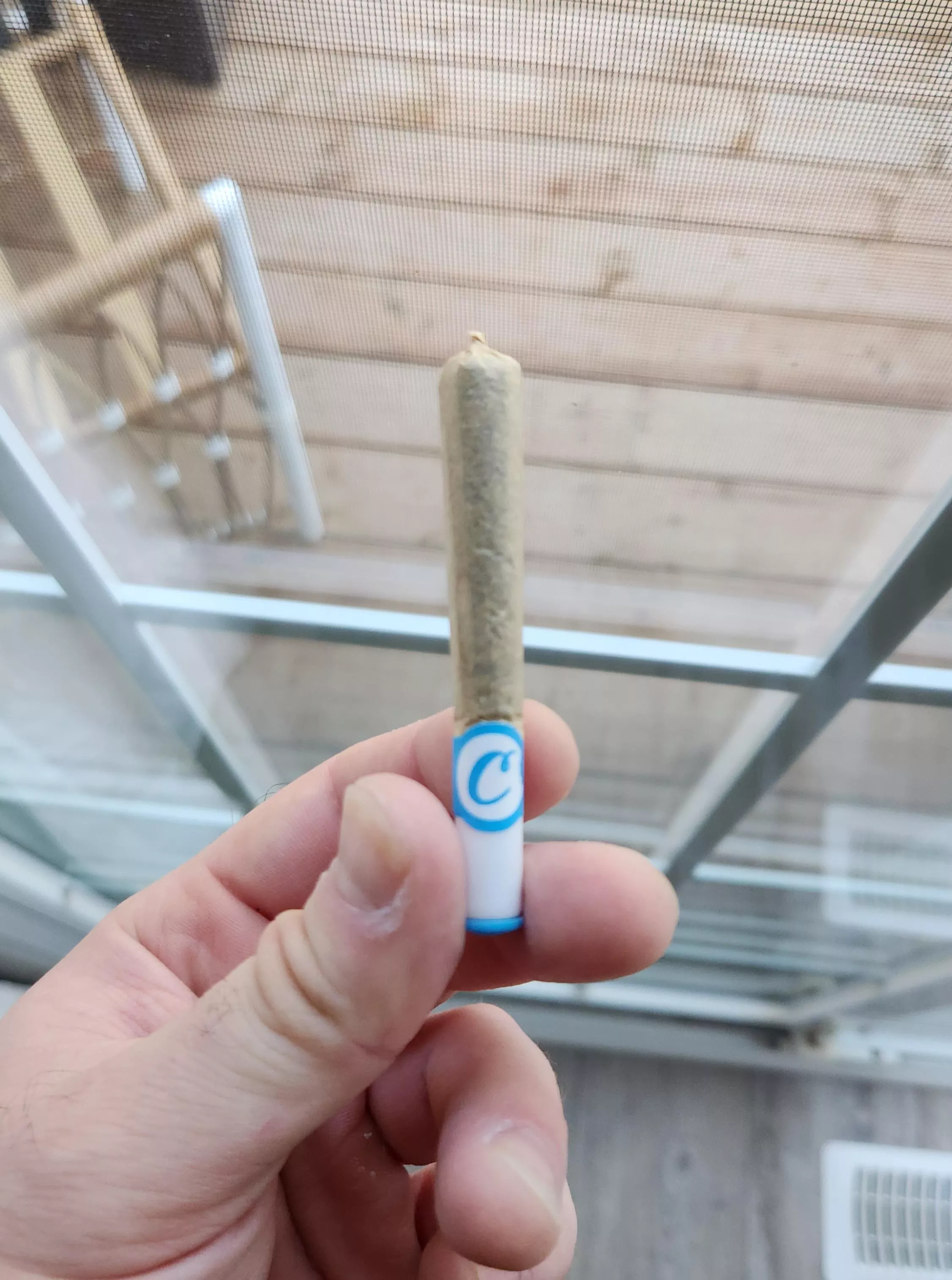 Gonna be so horny after I smoke this fella soon 