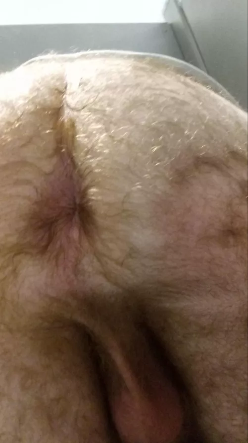 Hairy and rate