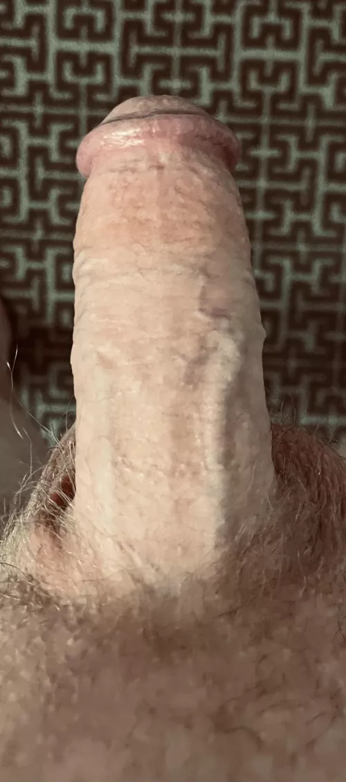 He didn’t show. I need new friends.