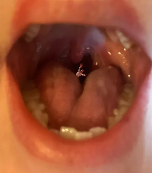 He tastes pretty good going down, what about you? 🤔