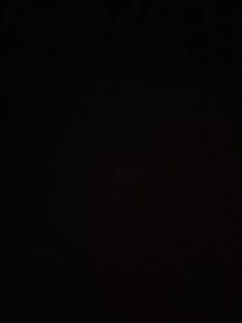 Hi gay 20 M, somebody who wants to train me in scat? Im fairly new. Like tell me what to do etc.. 