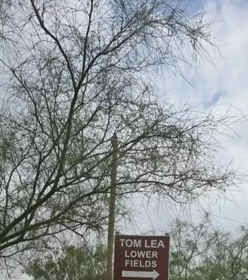 Hmmm I think this will do today for 12pm lunch time 😈. Let's see who can spot me....plz No Dm's. 