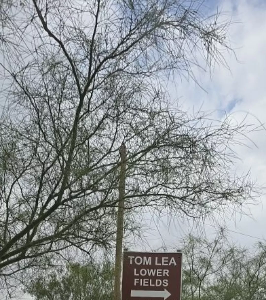 Hmmm I think this will do today for 12pm lunch time 😈. Let's see who can spot me....plz No Dm's. 