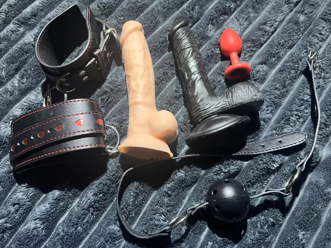 How do you like my horny collection?