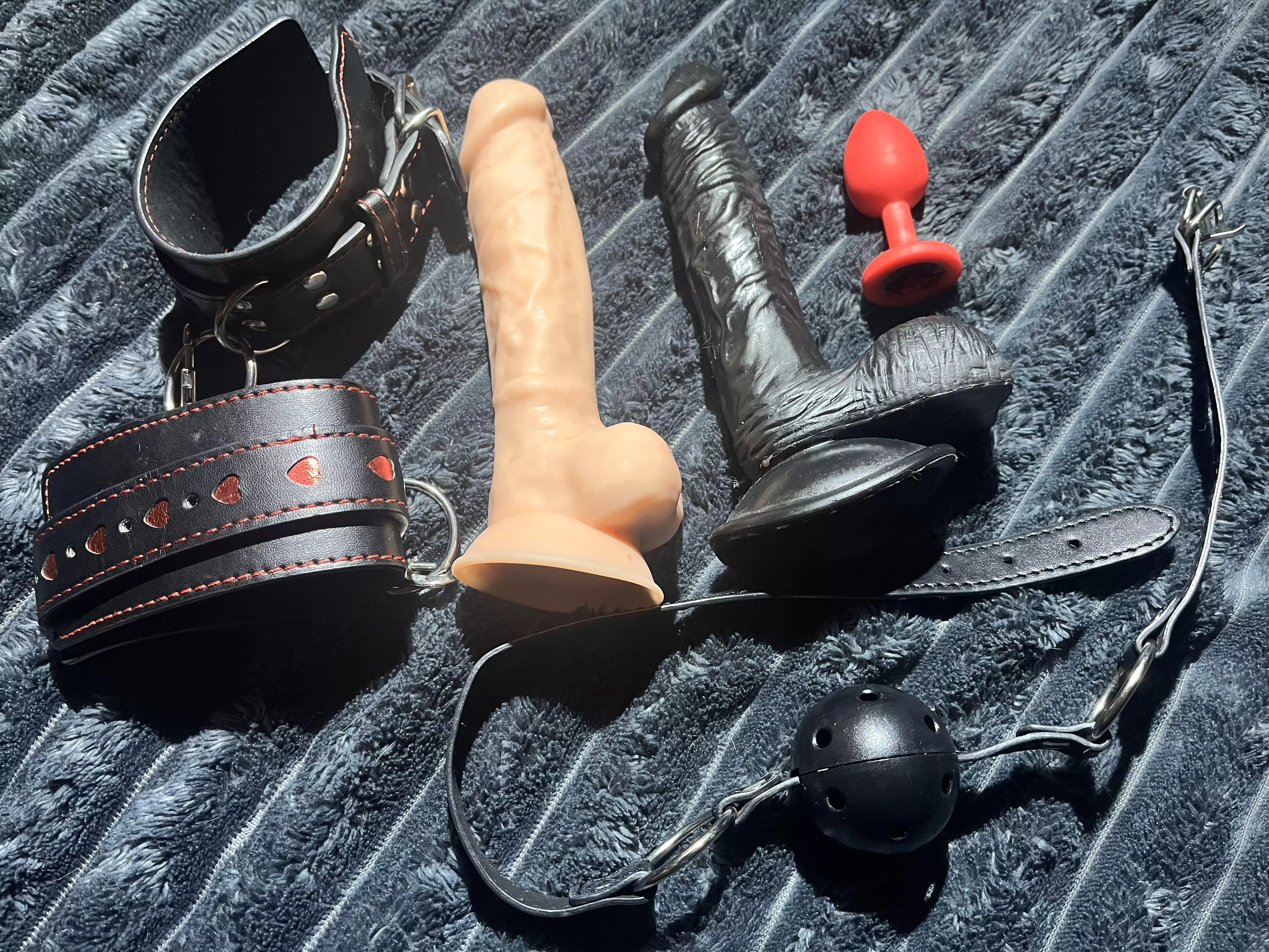 How do you like my horny collection?