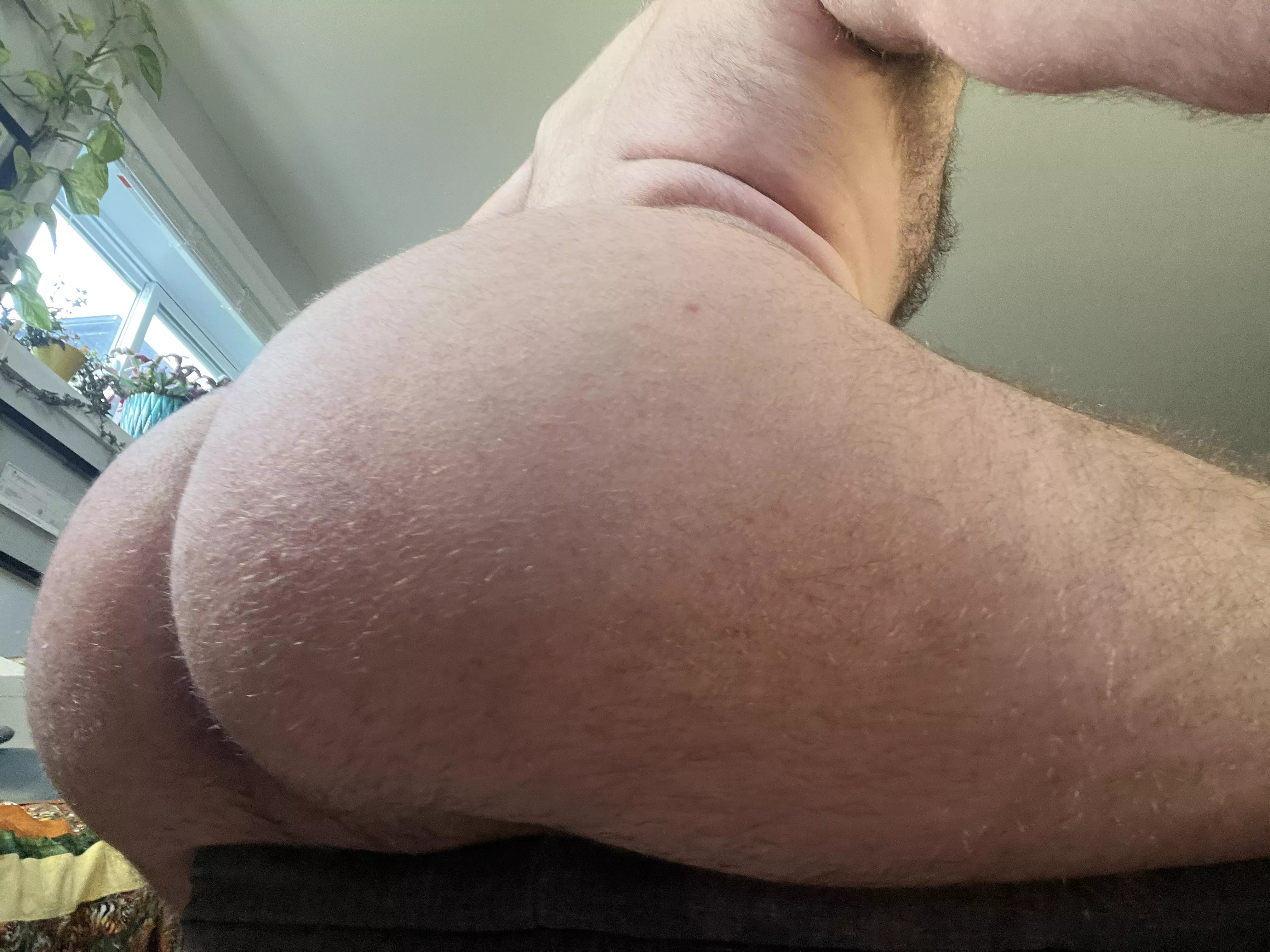 Hungry for some cake?