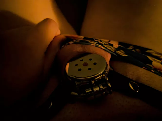 I got a new flat cage and I love it so much! 😍