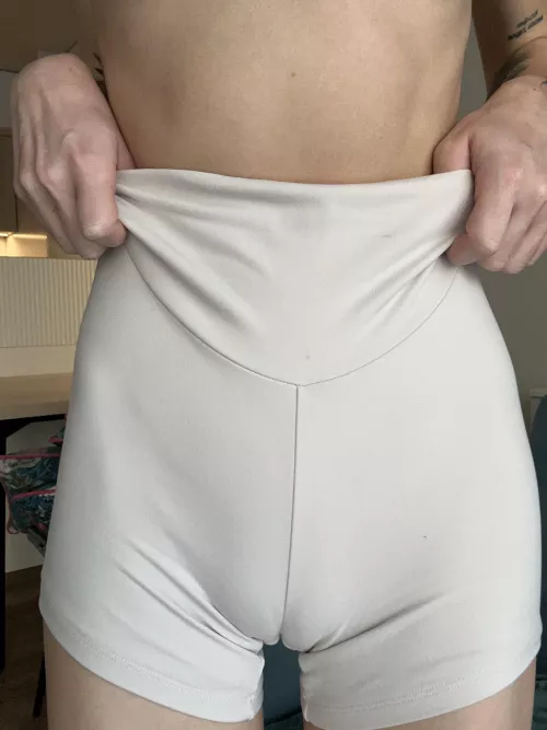 I hope my camel's paw got your attention