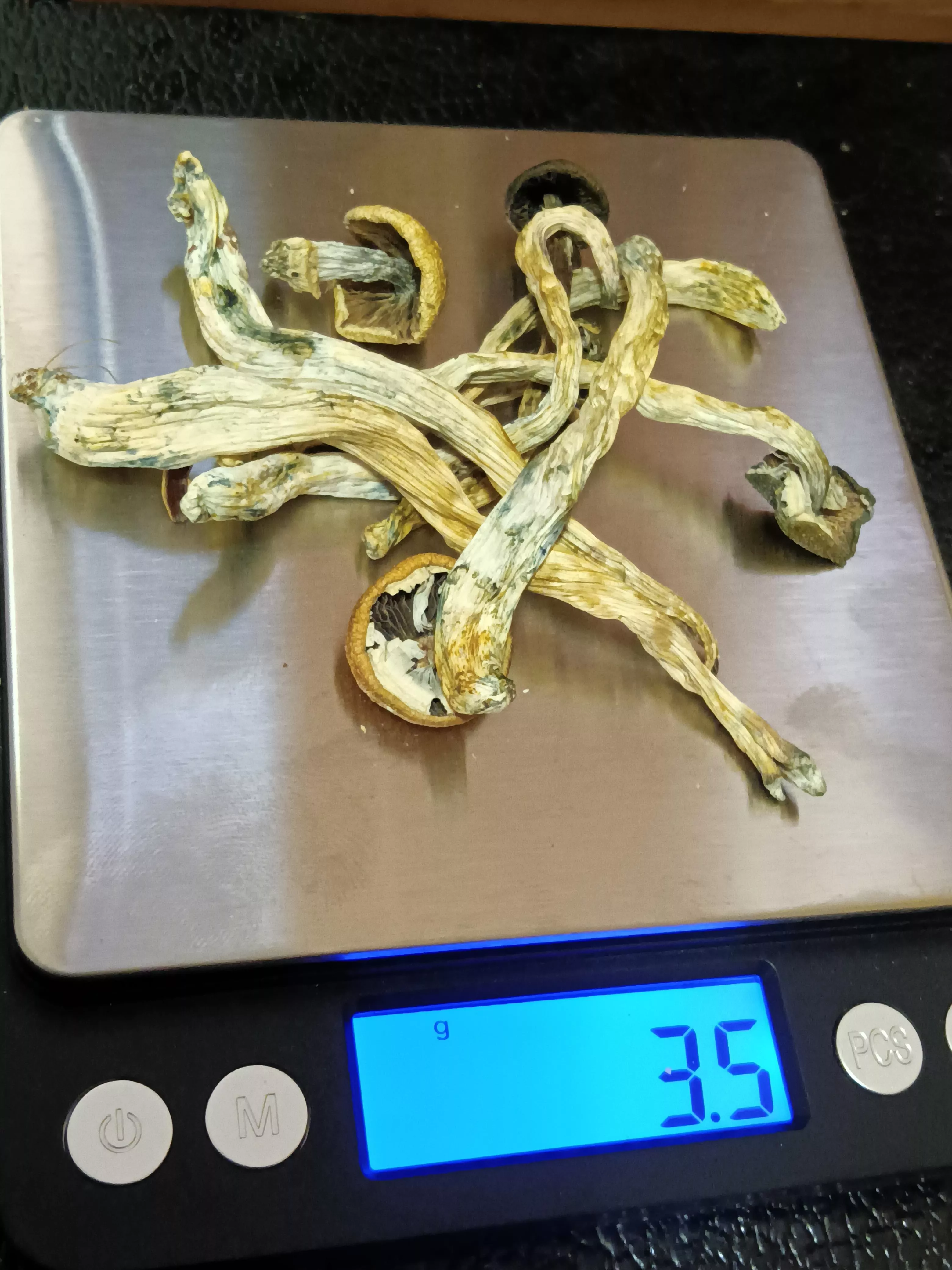 It's been about two years since going down the rabbit hole.. much love to all and have a good day!