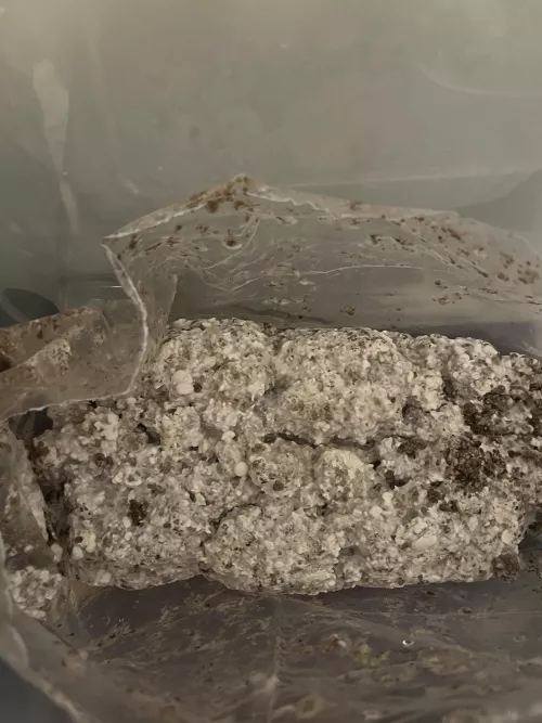 Jedi mind fck incoming 🍄💥ooosh 