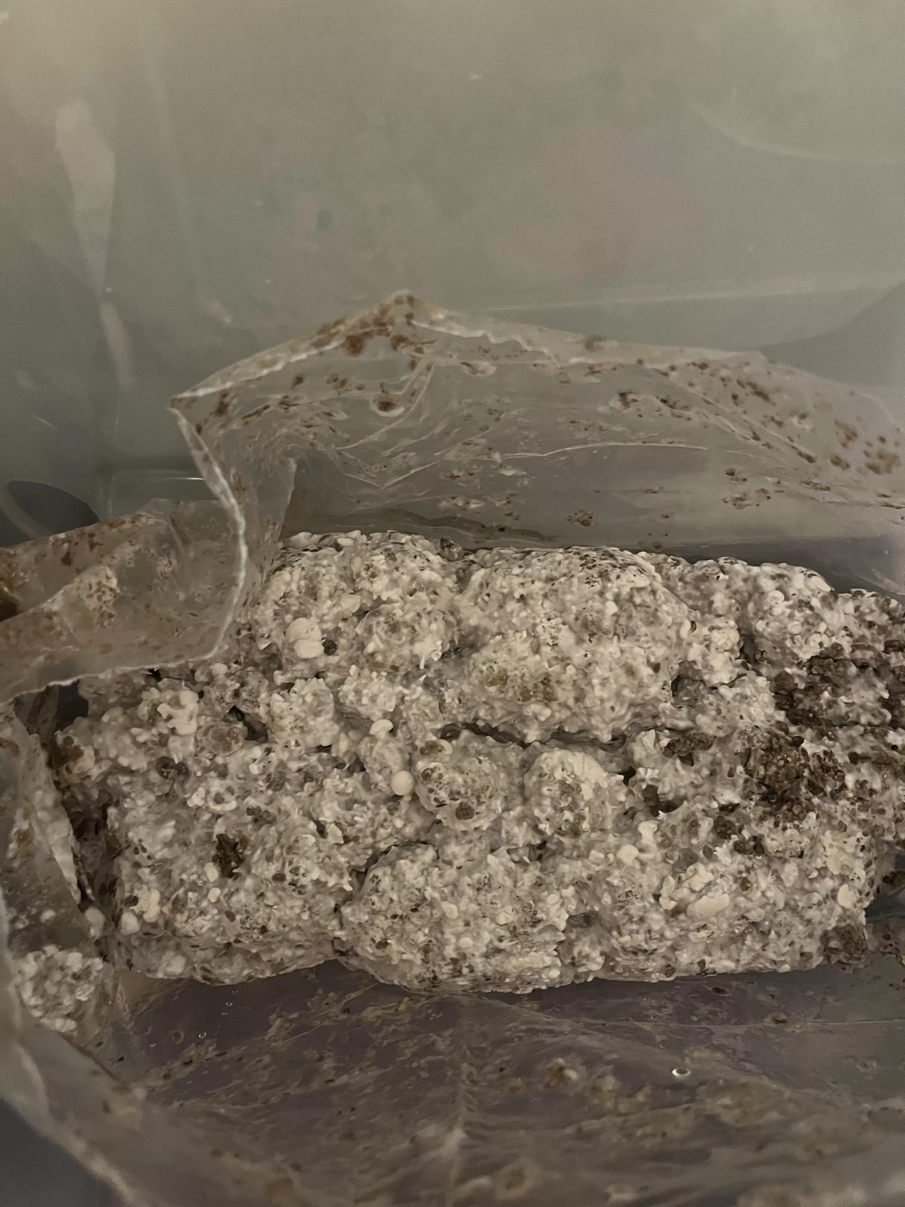 Jedi mind fck incoming 🍄💥ooosh 