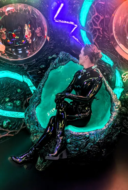 Just a curious kitten looking out the window 🐱