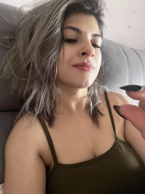 ladybug are you there?