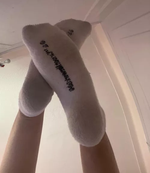 Let me shove them in your mouth