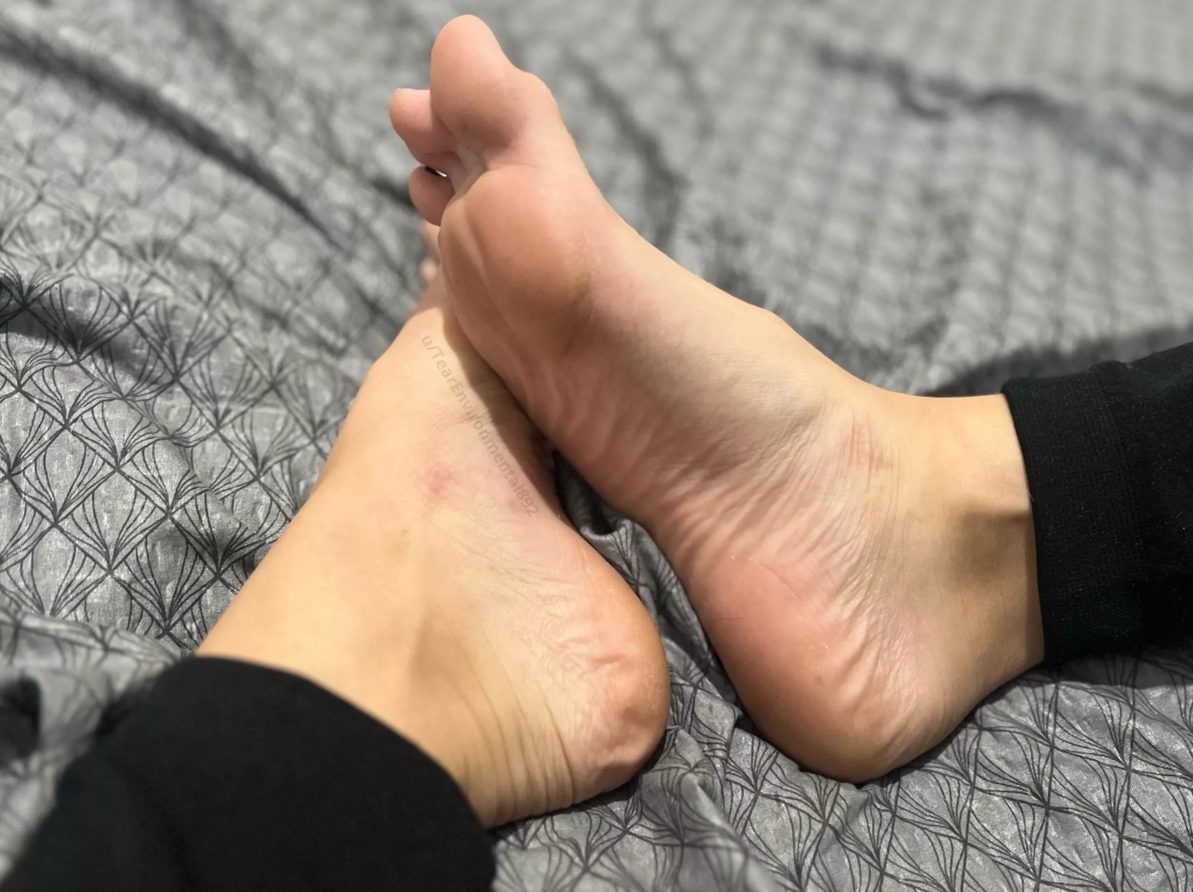 Lick em? 🤤🤤 (oc)