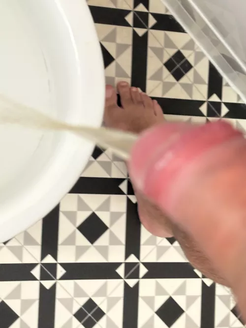 Lick my pee and cock 