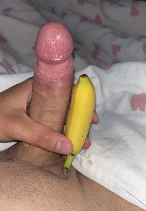 Looks big in comparison with a banana 