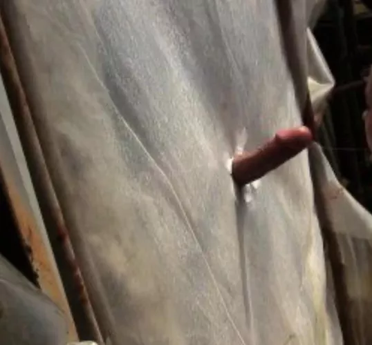 [M]Any discrete straight studs need some anonymous head today? Glory Hole open today. Send cock pic, be hygenic for address. Charleston 