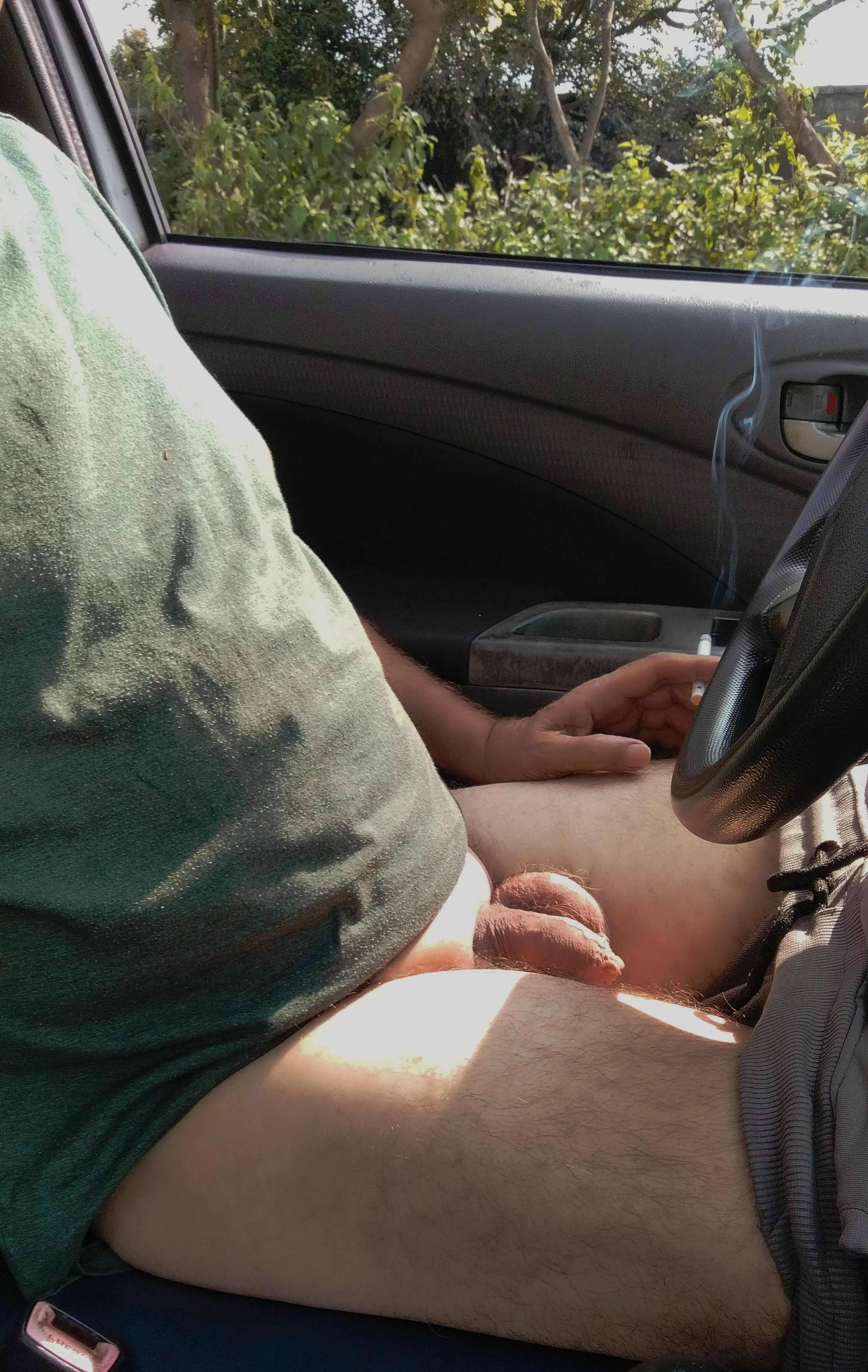 My jewels basking in the warm sun.