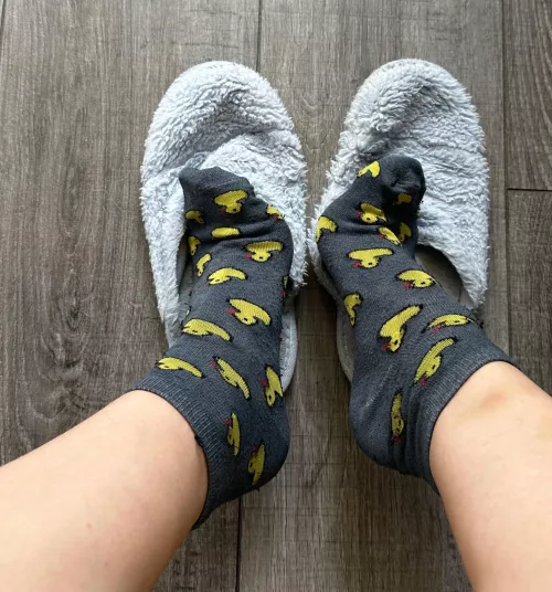 My socks are just the right length. I could take them off so you could look at my legs