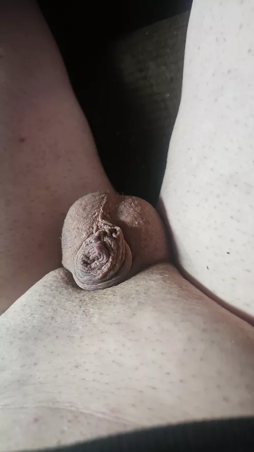 My T is so low, it atrophied now it's fully inside