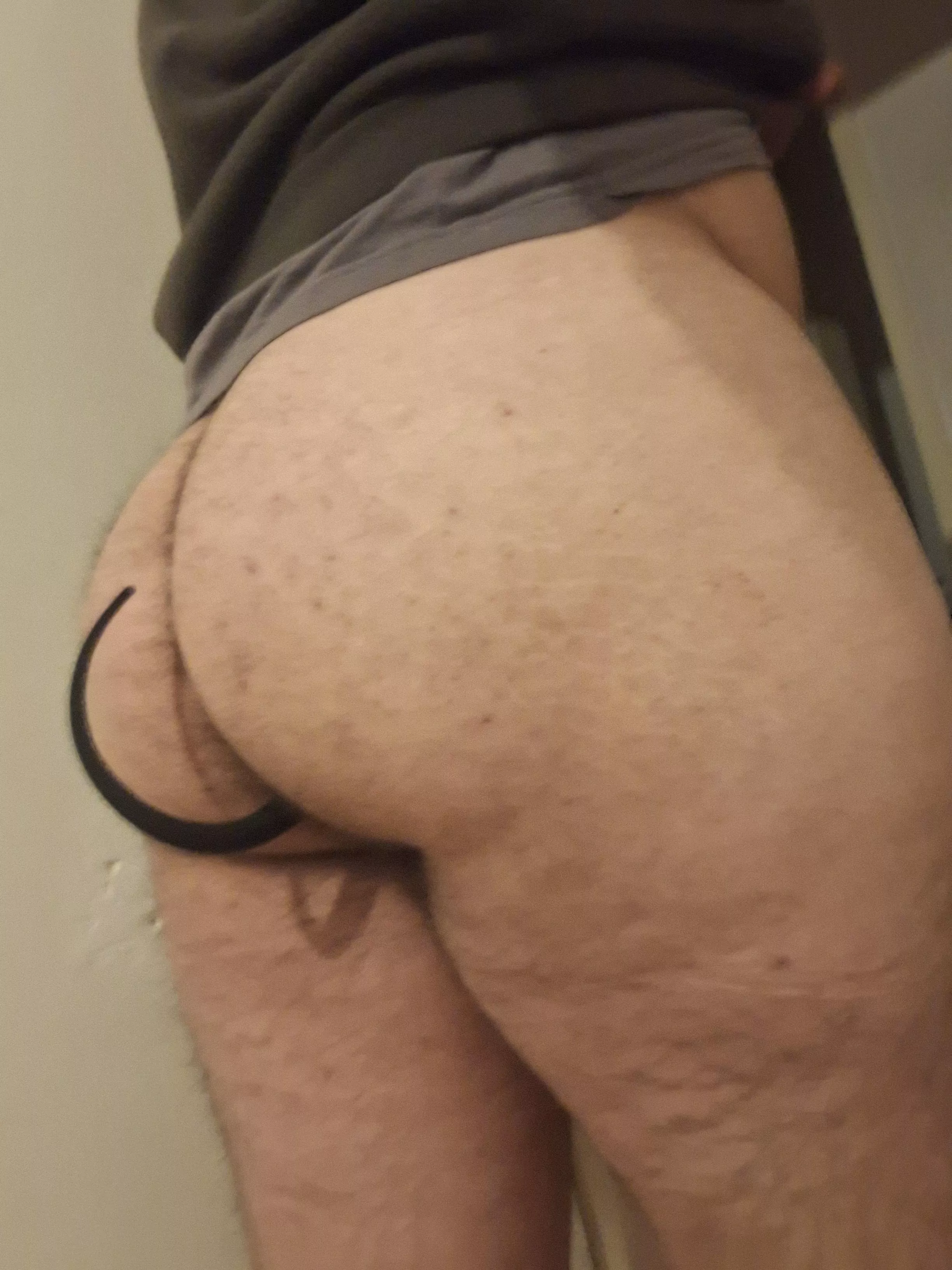 New pup with short tail