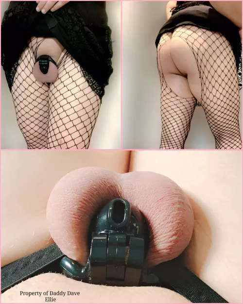 Now that you're home my sweet sissy Ellie time to wear your appropriate attire 😏