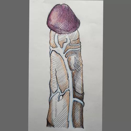 P - C drawing made by me 