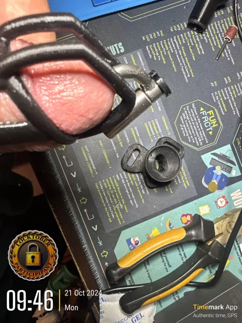 Printed the “inverted” design by u/OldDepth1294 and have done some sanding of it already to smooth it out a bit. Pic taken while locked in a ringless cage I’ve printed previously that is locked to my PA (the locking pin on the lock is also 3d print