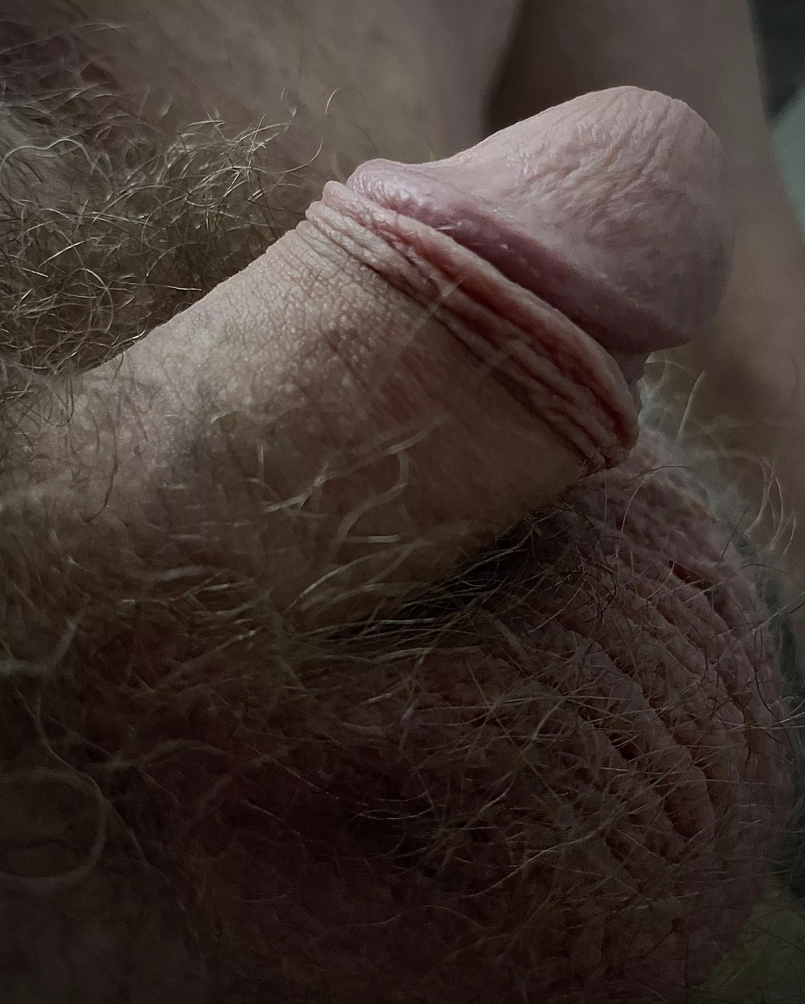 See anything you like?