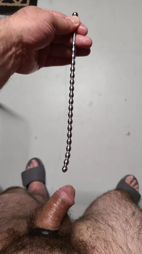 S.steel is one of my favs