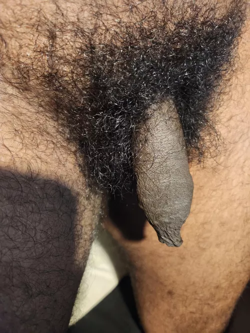 Surrounded by natural pubes