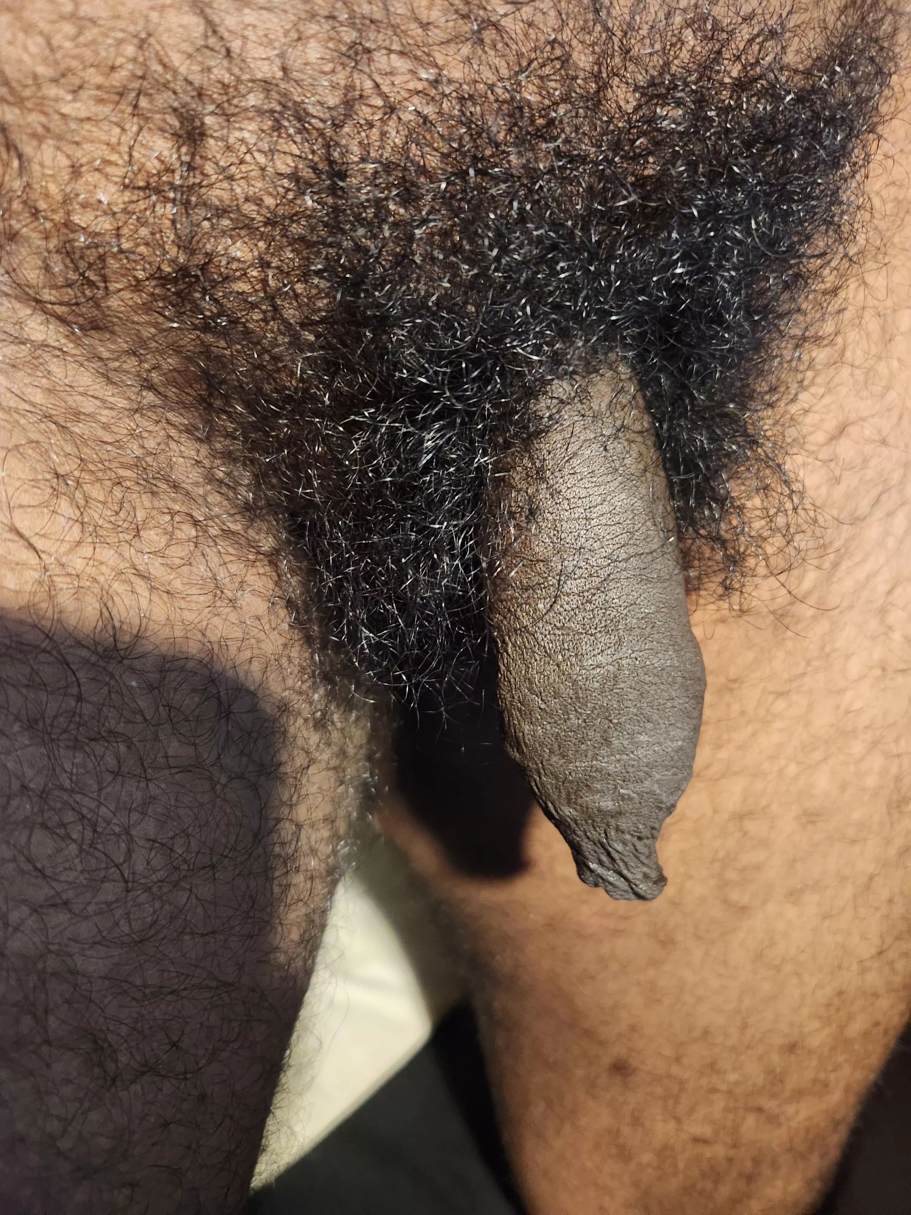 Surrounded by natural pubes