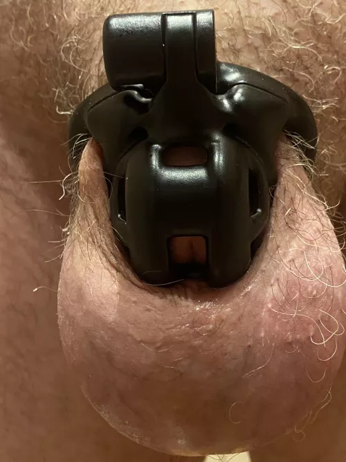 Switched to my nano from kink3Ddesigns to finish off locktober. 